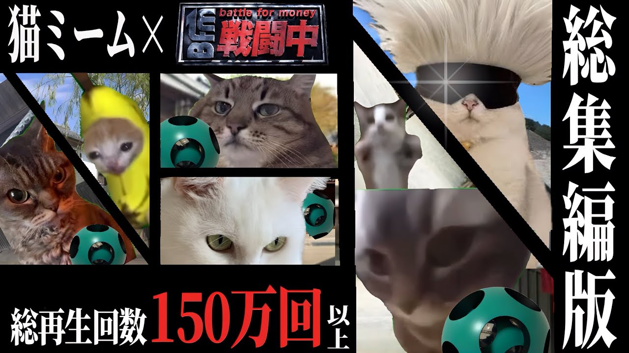映画『猫ミーム戦闘中』総集編版【猫ミームアニメ】
