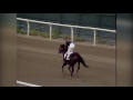 Andy and the Mig - 1988 Belmont Stakes