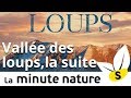 VALLÉE DES LOUPS, LA SUITE (No 95)