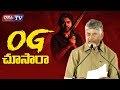 OG చూసారా ..!  - నారా చంద్రబాబు  || CM Chandrababu about OG Movie || #ogmovie #latestnews #dnatv
