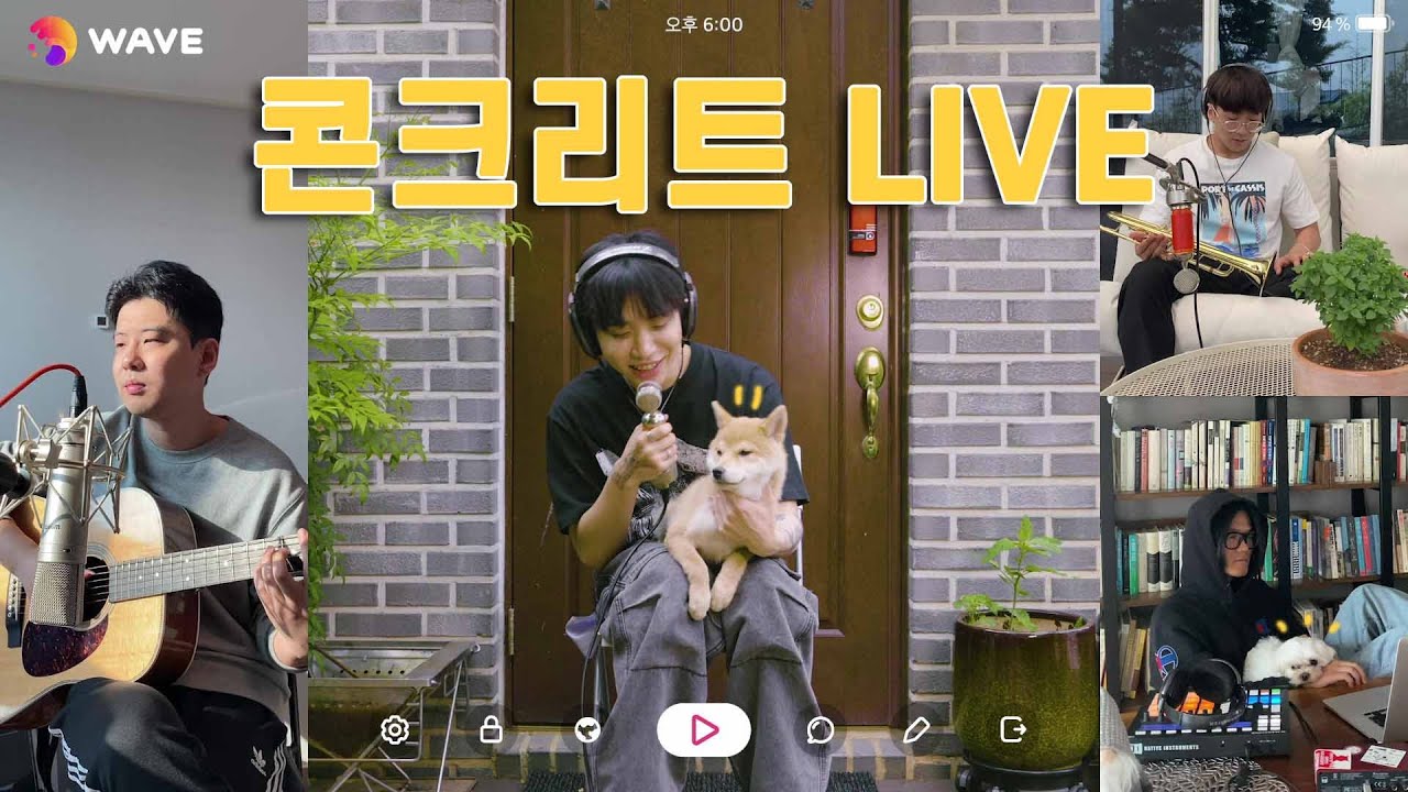 Live Clip｜다운 (Dvwn) - '콘크리트' Video Call Ver. [WAVE app 협찬]
