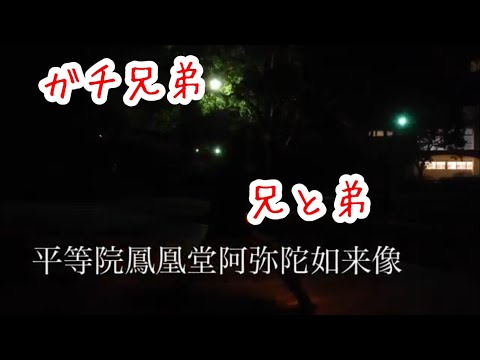 【ヲタ芸】兄弟技連【家族】