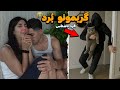 فرد ناشناس گربمون را کجا برده یعنی زندس 