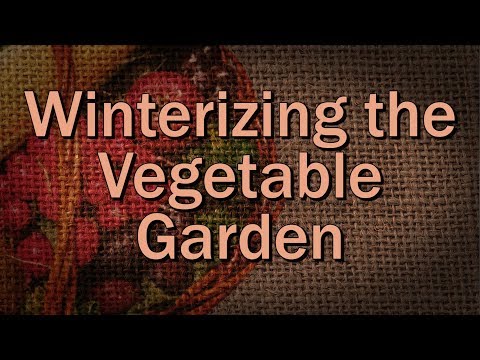 ვიდეო: ზამთრის მომზადება ბოსტნეულის ბაღებისთვის - რჩევები ბოსტნეულის ბაღის ზამთრისთვის მომზადების შესახებ