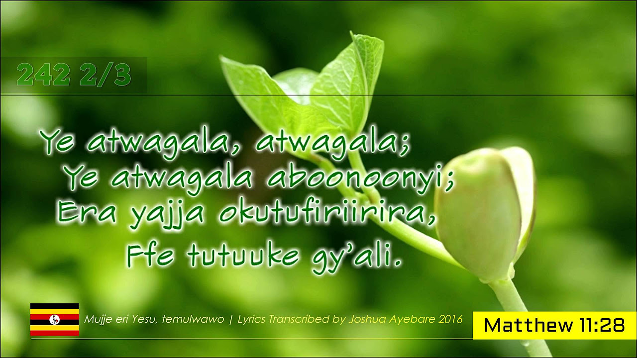 HYMN 242 Mujje eri Yesu temurwawo  Luganda Church Of Uganda Gospel Music Lyrics