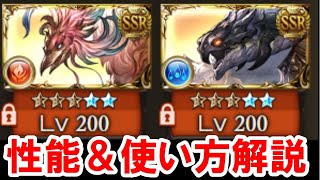 About the 5-star summoning stones 'Suzaku' and 'Genbu' from the Four Symbols Descent [Granblue Fa...