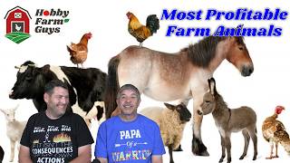 The Most Profitable Farm Animals [Classic HFG]