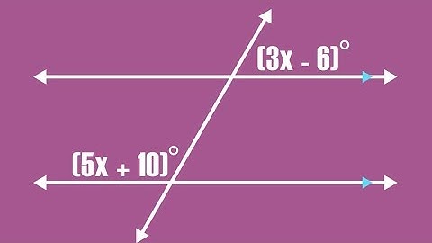 Parallel Lines & Transversals