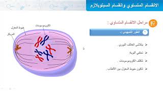 الانقسام المتساوي وانقسام السيتوبلازم