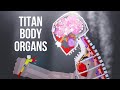 SAITAMA vs Titan Body Organs - People Playground 1.24