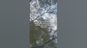 #سورة_الشعراء الآيات 49 ,50 ,51