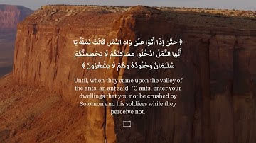 آيات من سورة النمل الآية  مترجم Translated Surah An-Naml | 18-19 l