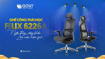 Ghế công thái học Ergonomic Felix 6226A