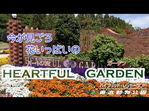 今が見ごろ　花いっぱいの　ハートフルガーデン