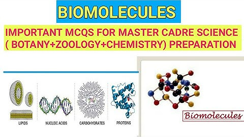 Biomolecules :-  Important Solved MCQs for Master Cadre Science Preparation (Botany+Zoology)