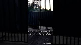 100 Steps, 60 s 🙆 08.14.2026