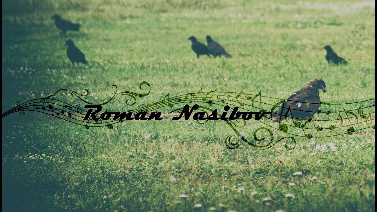 Roman N. -  Youtube Channel trailer