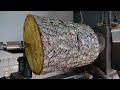 Woodturning - You&#39;ll Never Guess What Came Out Of This HUGE Log!