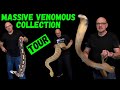 Venomous Snake Room Tour | MONSTER Rattlesnakes, Bushmasters, Gaboon Vipers, Puff Adders, King Cobra