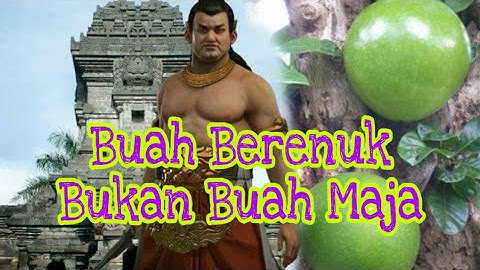 Buah Berenuk Yang Dikira Buah Maja || Buah Maja Cikal Bakal Kerajaan Majapahit