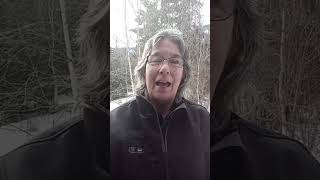 2 of 3 Tips if you are new to Working Equitation