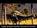 Journey Through Earth's Eras: The Evolution of Life Across Geological Time