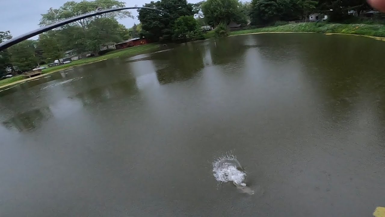 Rainy Day Bass Fishing! YouTube