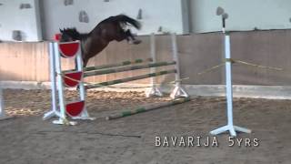 Bavarija 5yrs