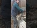 узбек против бетона