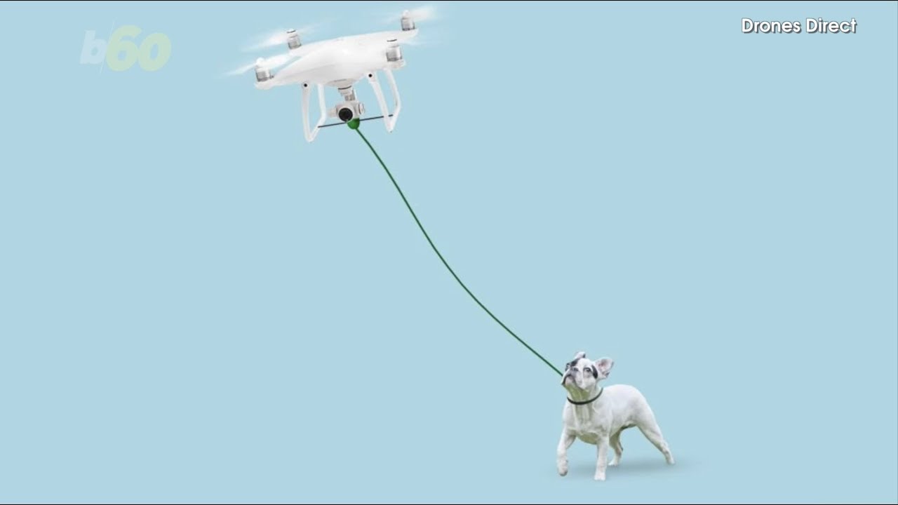 This Company Claims to Be Selling a DogWalking Drone YouTube