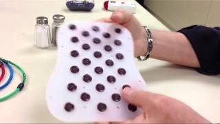 Nikken's New Magnetic DynaFlux Products In Action