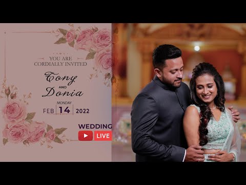 TONY DONIA WEDDING LIVE PICASSO PEDIA 