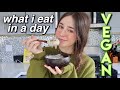What a vegan eats in a day