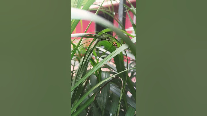 sredhichu nokkiyaal oru karyam kanaam
