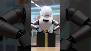 USD300 Robot Dog Takes On Nvidia With 10x Efficiency