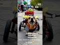 Day in the life of a Petsitter! Woofstock 2025 (9/29/25) #adopt #dogshorts #dog #animals #petsitter