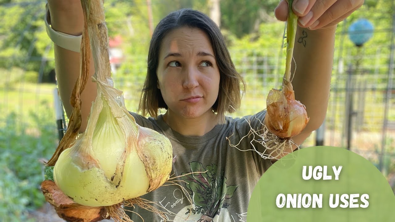 What to do with your ugly onions (easy onion preservation techniques)