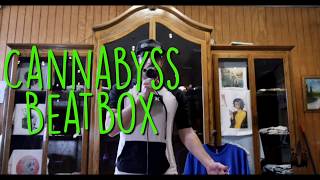 Cannabyss Beatbox live on Little Room in Florida