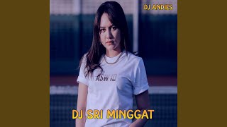 DJ Sri Minggat SLow Remix