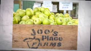 Joes Place Farms pumpkin patch in Vancouver, Washington