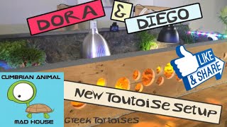NEW DIY tortoise table enclosure for my Greek tortoises 🐢 DORA and DIEGO 🐢 new setup UK🇬🇧