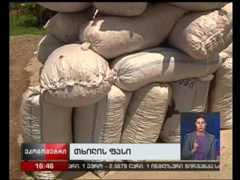 თხილის ფასი 8-დან 3 ლარამდე დაეცა - გაიზრდება თუ არა მისი ღირებულება შემოდგომისთვის