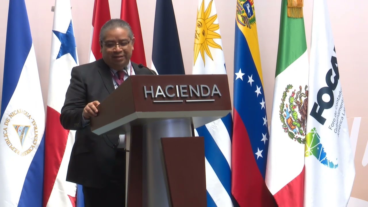 VIII FOCAL - Assessment of Accounting Harmonization and Progress in IPSAS Implementation.