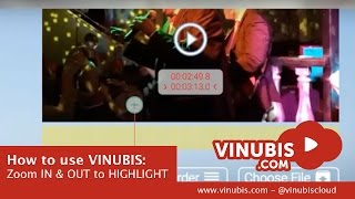 Zoom In Out To Highlight Your Videoclips In Vinubis.