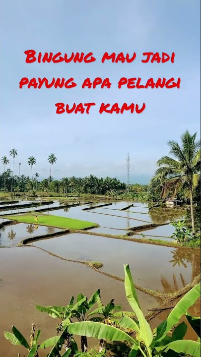Story Wa 30 Detik keren