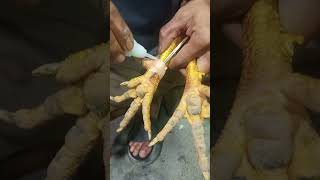 Tutorial Sambung Jalu