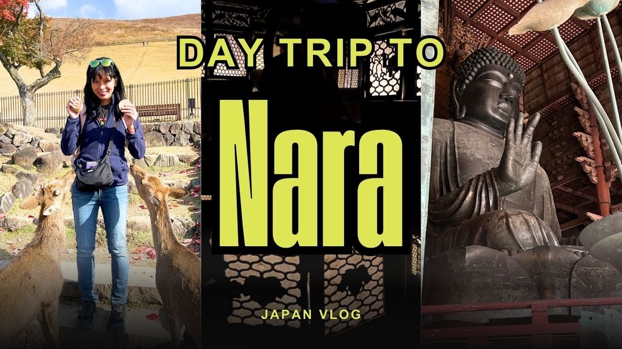 Нара, Япония, за один день | Храмы, олени и еда, приготовленная своими руками
