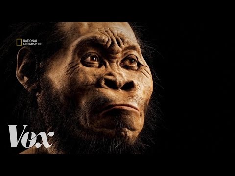 Video: De Overblijfselen Van Homo Naledi Kunnen Het Idee Van Menselijke Evolutie Veranderen - Alternatieve Mening