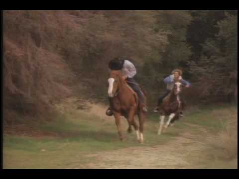 AFP horses TV commercial.mov