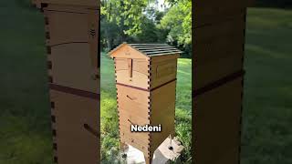 Bal Hasat Etmenin En Kolay Yolu 🍯🐝  #bilim #bilgi #bal #hasat #shorts